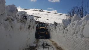 BÜYÜKŞEHİR BELEDİYESİ YAYLA YOLLARINI ULAŞIMA AÇIYOR