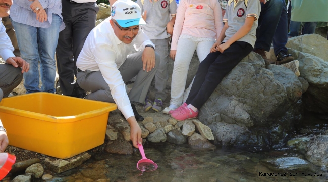 Alabalık Salımı Yapıldı