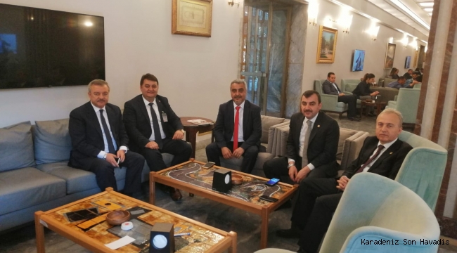 GMİS, TBMM' de Vekillerini Ziyaret Etti