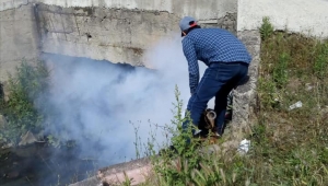 “Karasu’da İlaçlama Çalışmaları Sürüyor”