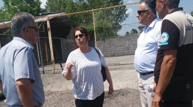 KURBAN PAZARI DELİHAKKI'YA KURULACAK