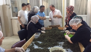 Vali Kemal Çeber, Cumhuriyet Çay Fabrikasını Ziyaret Etti