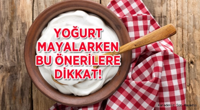 5 adımda sağlıklı ev yoğurdu yapımı!