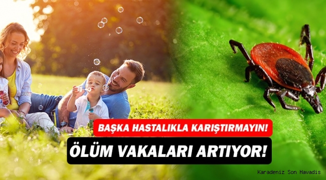 İlk Ölümlü Vaka 2002’de görüldü