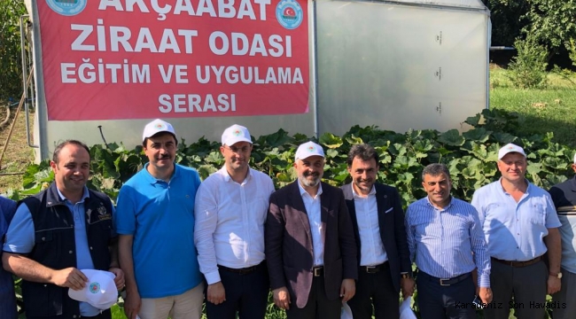Milletvekili Dr. Adnan Günnar'dan Sebze Hasadı