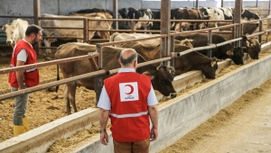  Türkiye’de ve 50 ülkede kurban kesimleri başladı