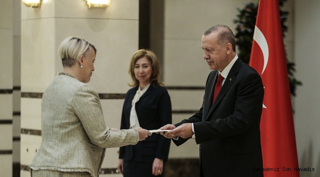 Cumhurbaşkanı Erdoğan, İrlanda'nın Ankara Büyükelçisi Mcguıness'i kabul etti
