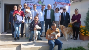 Hayvanlara aşı kampanyasına yoğun ilgi