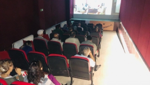 RUH SAĞLIĞI DANIŞANLARININ SİNEMA KEYFİ