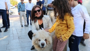 Safranbolu Can Dostlara Sahip Çıktı