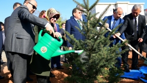 Milli Ağaçlandırma Günü'nde Trabzon'da Binlerce Fidan Dikildi