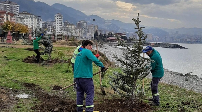 270 ADET LADİN FİDANI TOPRAKLA BULUŞTU