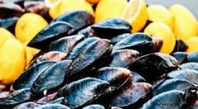 MİDYE SEVENLERE ÇOK ÖNEMLİ UYARILAR!