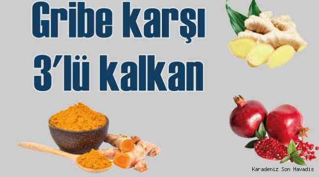 Gribe karşı, nar kabuğu, zencefil, zerdeçal kalkanı