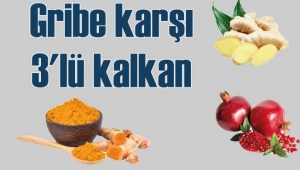 Gribe karşı, nar kabuğu, zencefil, zerdeçal kalkanı