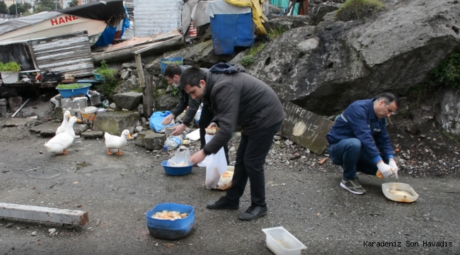 NECMİ AMCA’NIN ÖRDEKLERİNE BELEDİYE BAKIYOR