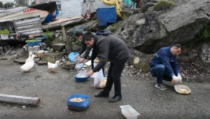 NECMİ AMCA’NIN ÖRDEKLERİNE BELEDİYE BAKIYOR