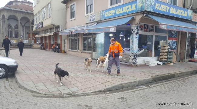 TRABZON BÜYÜKŞEHİR SAHİPSİZ HAYVANLARI UNUTMUYOR