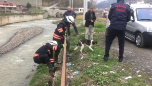 Büyükşehir ekiplerinden kurtarma operasyonu