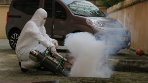 RİZE'DE SİVRİSİNEK VE HAŞEREYLE  ‘LARVA’ DÖNEMİNDE  MÜCADELE