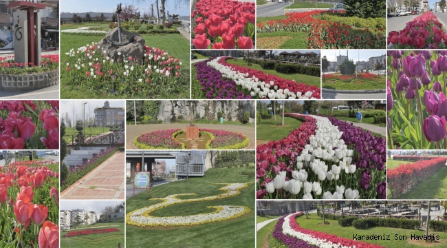Trabzon çiçek bahçesine döndü