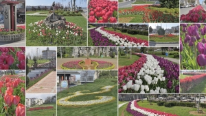 Trabzon çiçek bahçesine döndü