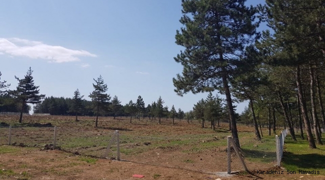 Geleceğe Nefes Fidanlar Aromatik Bitkilerle Kuşatılacak…