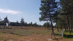 Geleceğe Nefes Fidanlar Aromatik Bitkilerle Kuşatılacak…