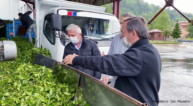 GENEL MÜDÜR ALİM'DEN ÇAY FABRİKALARINA HER GÜN ÇALIŞMA ZİYARETİ