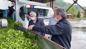 GENEL MÜDÜR ALİM'DEN ÇAY FABRİKALARINA HER GÜN ÇALIŞMA ZİYARETİ