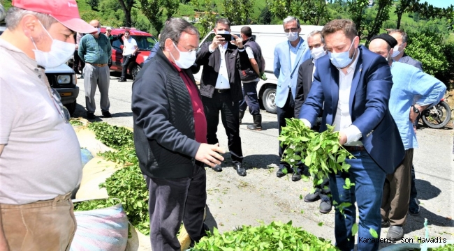 RİZE MİLLETVEKİLİ AVCI’DAN, ÇAYKUR GENEL MÜDÜRÜ ALİM’LE ÜRETİCİ ZİYARETLERİ