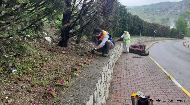 Safranbolu Çiçeklerle Bezeniyor