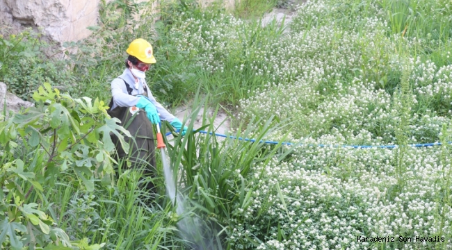 SAMSUN BÜYÜKŞEHİR BELEDİYESİ’NDEN ‘LARVA’ TEMİZLİĞİ