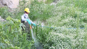 SAMSUN BÜYÜKŞEHİR BELEDİYESİ’NDEN ‘LARVA’ TEMİZLİĞİ