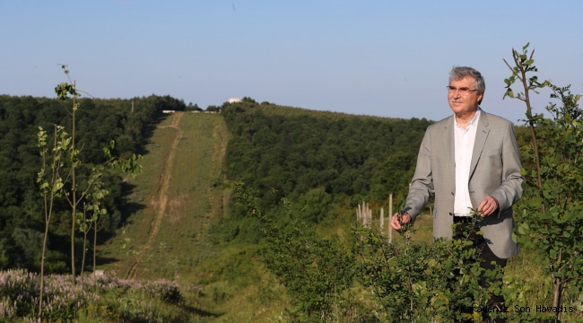 Atıl alan Cennet Vadisine dönüşüyor