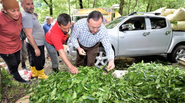 ÇAYKUR, BİRİNCİ SÜRGÜN HUZURLU BİR ORTAMDA MAKSİMUM SEVİYEDE TAMAMLANMIŞTIR