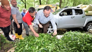 ÇAYKUR, BİRİNCİ SÜRGÜN HUZURLU BİR ORTAMDA MAKSİMUM SEVİYEDE TAMAMLANMIŞTIR