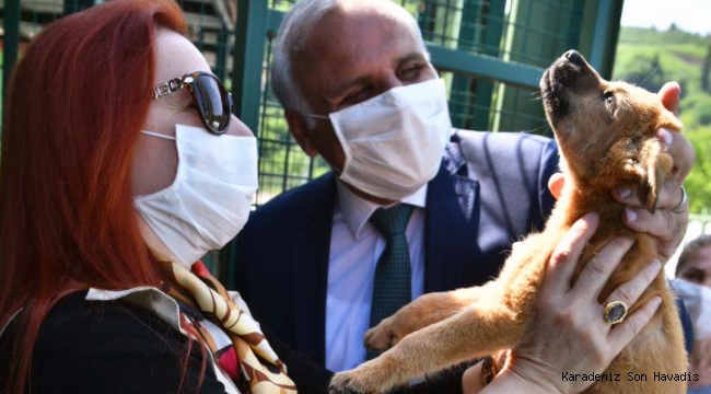 HER SİTEYE HER BAHÇEYE BİR KÖPEK YAKIŞIR
