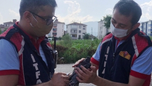 İtfaiye Ekipleri Tellere Takılan Bir Güvercini Kurtardı