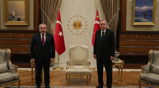 TBMM BAŞKANI ŞENTOP, CUMHURBAŞKANI ERDOĞAN TARAFINDAN KABUL EDİLDİ