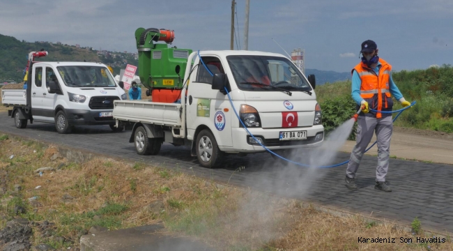 TRABZON BÜYÜKŞEHİR VEKTÖRLE MÜCADELEYE HIZ VERDİ