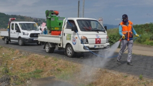 TRABZON BÜYÜKŞEHİR VEKTÖRLE MÜCADELEYE HIZ VERDİ