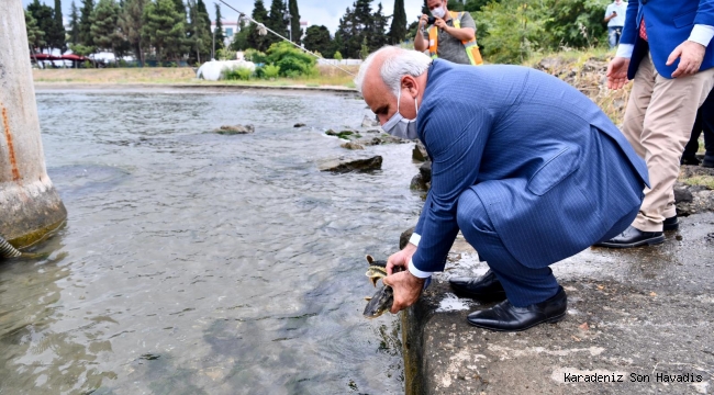Başkan Zorluoğlu, nesli tükenen balıkları denize bıraktı