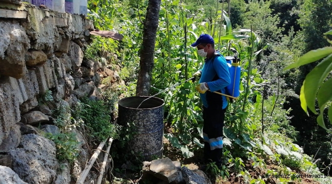 Büyükşehir ilaçlama çalışmalarını hız verdi