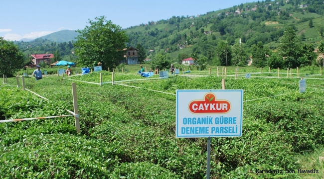 Çaykur'dan Bayram Öncesi Üreticileri Sevindiren Ödemeler