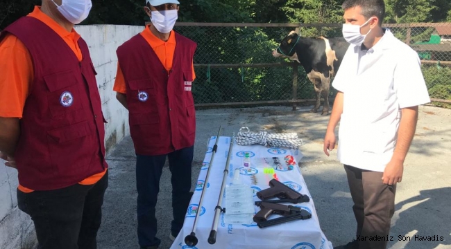 KDZ. EREĞLİ'DE, KURBAN YAKALAMA TİMİ GÖREVDE