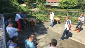 KURBAN KESİM EĞİTİMİ VERİLDİ...