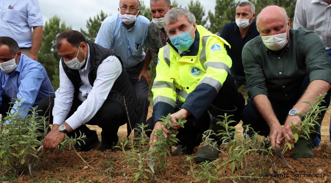 Melen Botanik Vadisi’nde ilk hasat yapıldı