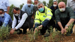 Melen Botanik Vadisi’nde ilk hasat yapıldı