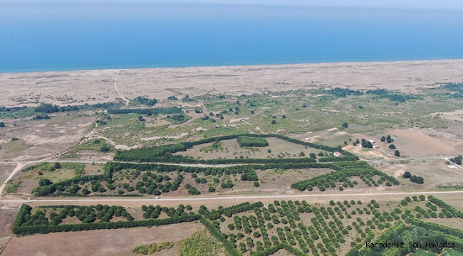 Melen Botanik Vadisi’ne 15 kilometrelik bisiklet ve yürüyüş yolu yapılıyor